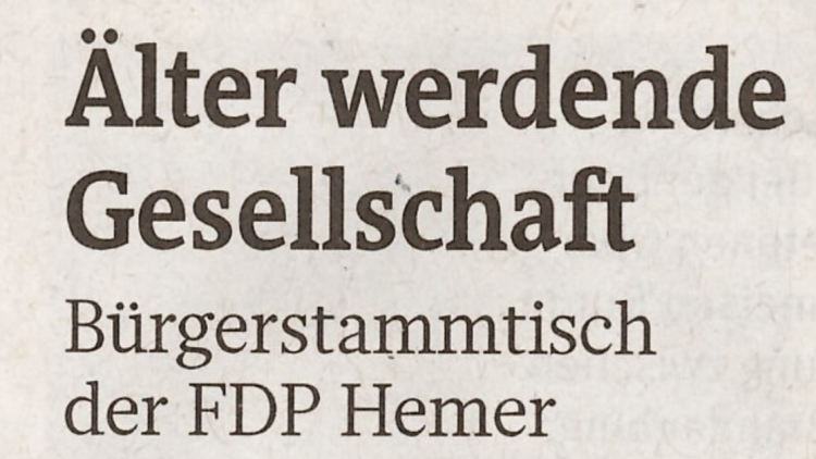 Digitaler Bürgerstammtisch der FDP Hemer