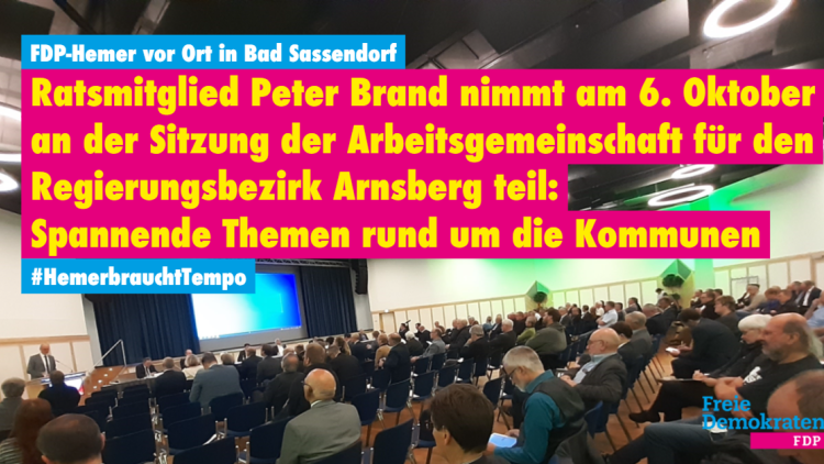 FDP-Hemer vor Ort